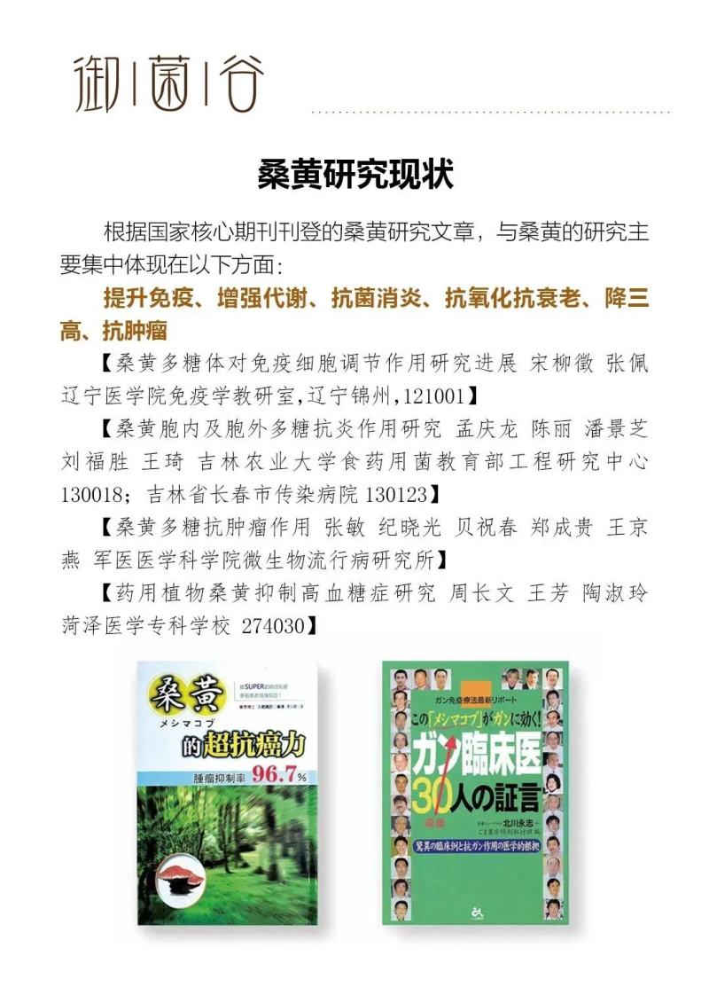 野生天然桑树桑黄干品！煮茶喝更健康，含有丰富的微量元素，