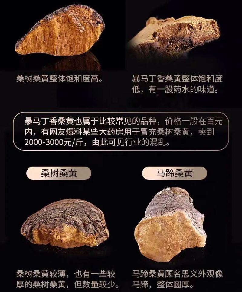 野生天然桑树桑黄干品！煮茶喝更健康，含有丰富的微量元素，