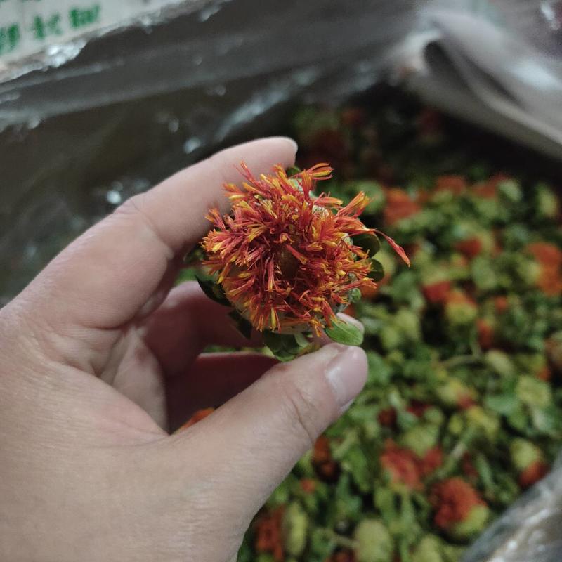 红花朵菠萝花今年新货一件20斤地摊热销产品量大从优