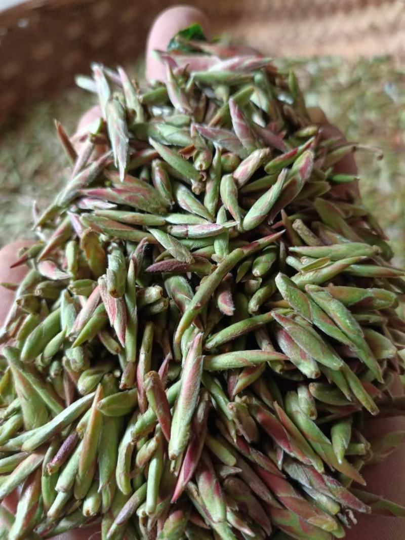 云南普洱茶