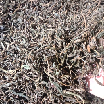 云南普洱茶
