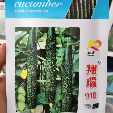 翔瑞918黄瓜种子