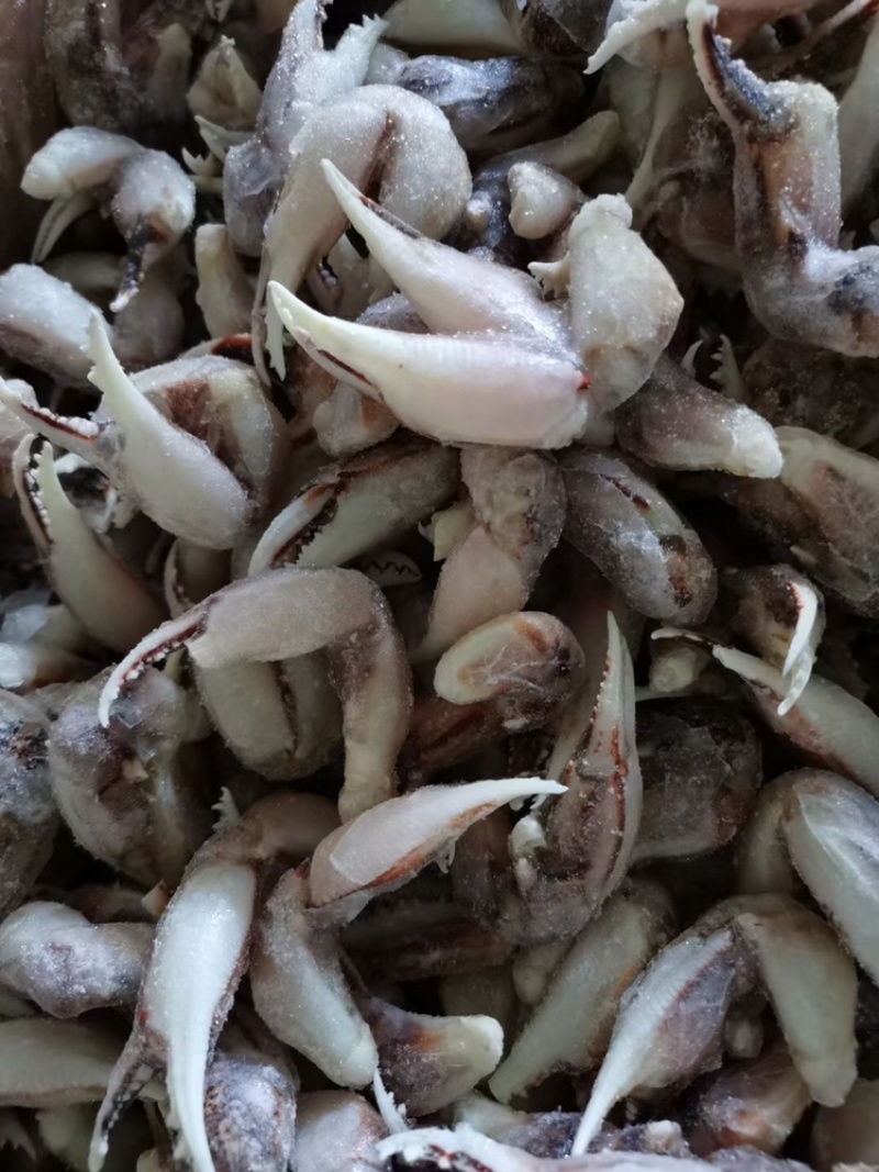 沙蟹蟹脚香辣蟹钳麻辣小海鲜蟹腿捞汁小海鲜醉蟹爪