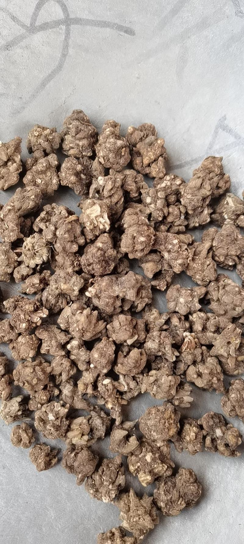 猫爪草各种规格实物拍摄水洗货质量保证