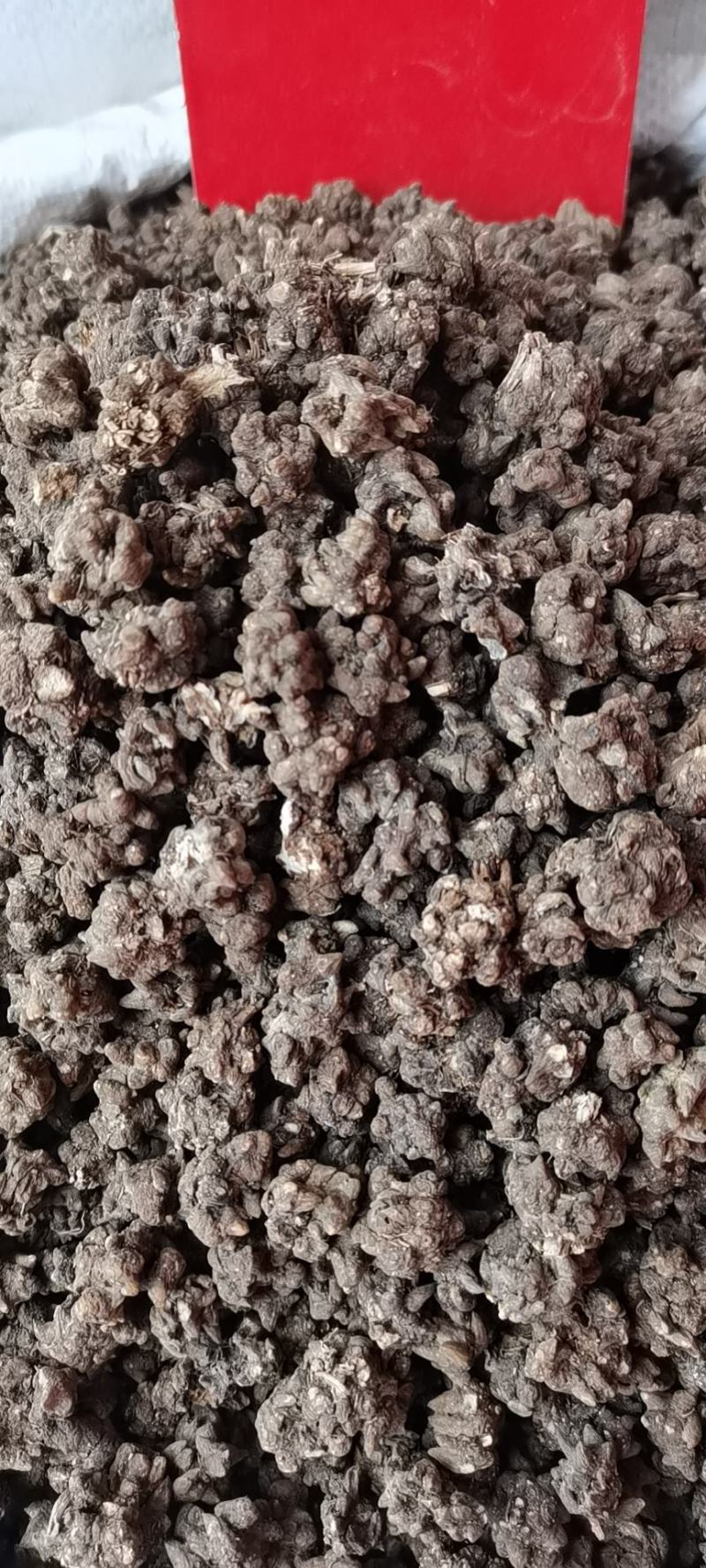 猫爪草各种规格实物拍摄水洗货质量保证