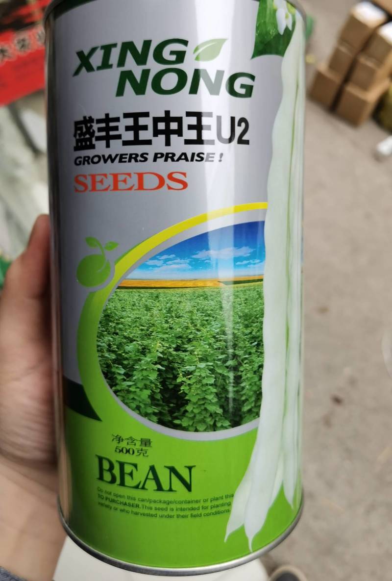 王中王四季豆种子，特高产中早熟，无纤维白绿无筋，亩产万斤