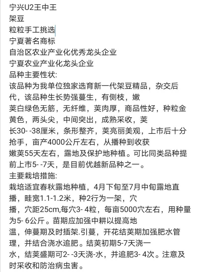 王中王四季豆种子，特高产中早熟，无纤维白绿无筋，亩产万斤