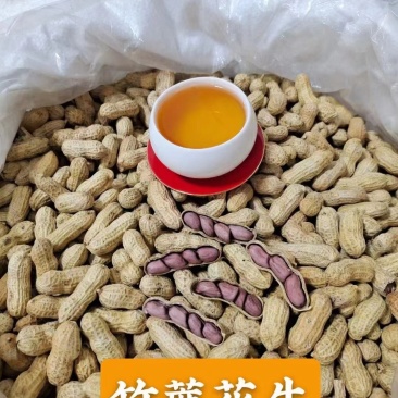 竹蔗花生广东农家土特产竹蔗花生带壳红衣花生