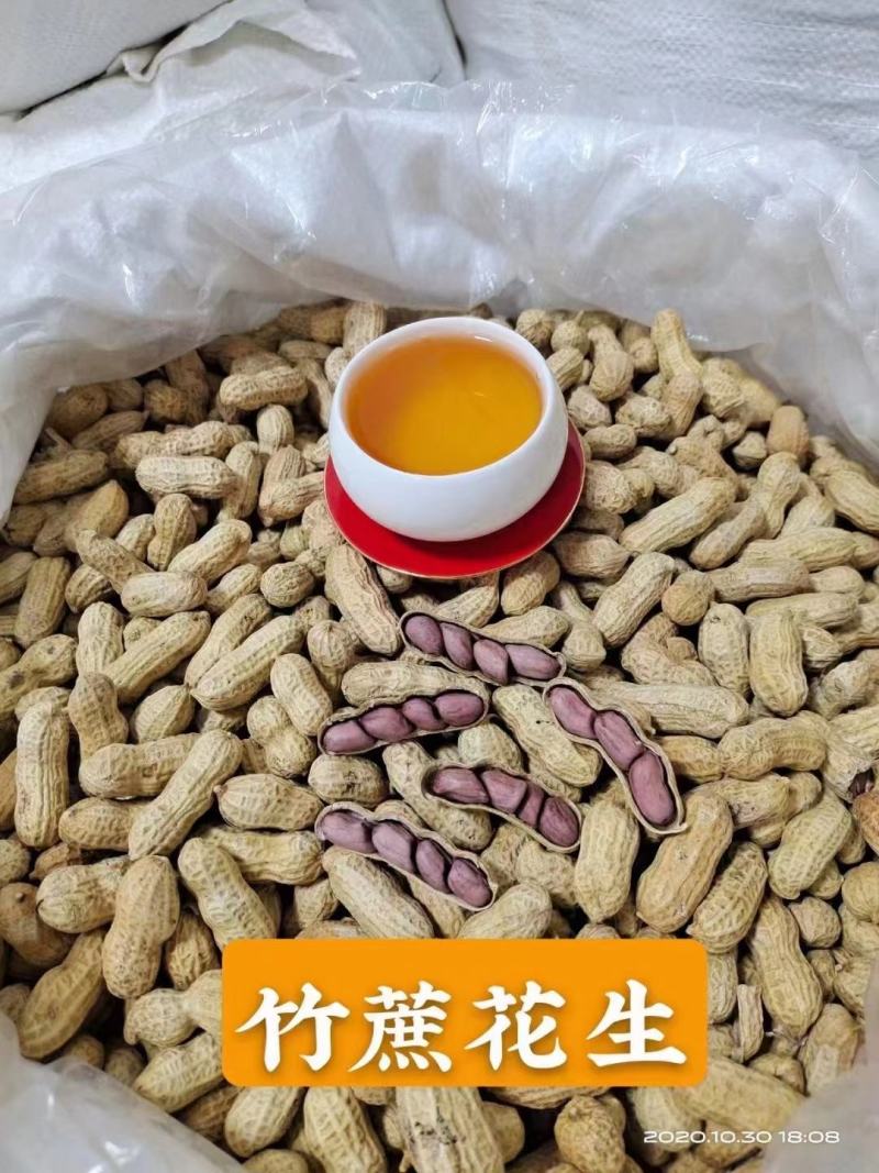 竹蔗花生广东农家土特产竹蔗花生带壳红衣花生