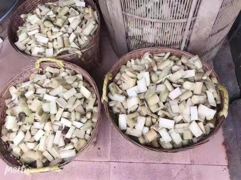竹蔗花生广东农家土特产竹蔗花生带壳红衣花生