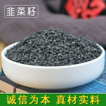 云南野生中药材韭菜子纯韭菜籽男性滋补泡茶持久包邮