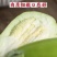 茄子种子皮色油绿肉质细腻早熟抗病强味甘