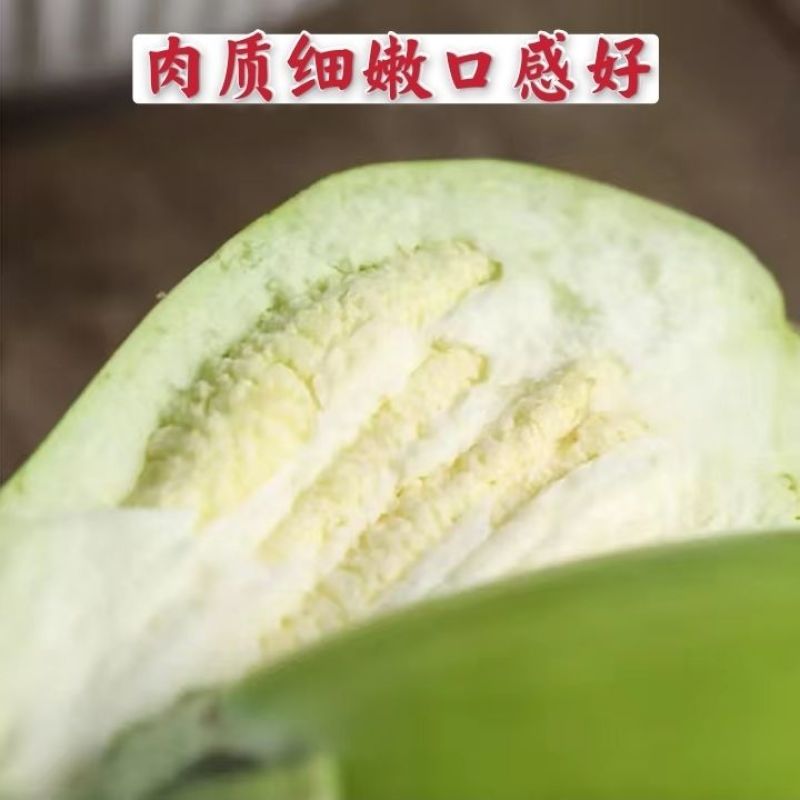茄子种子皮色油绿肉质细腻早熟抗病强味甘