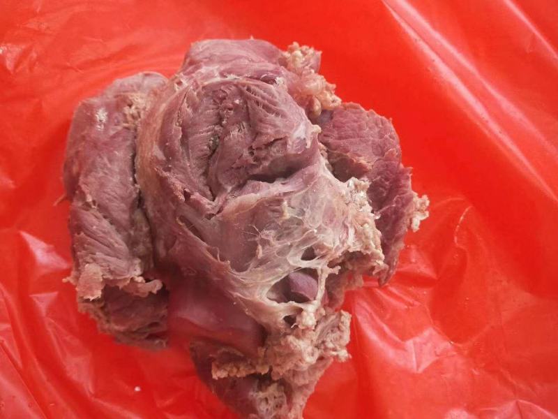 正宗黄牛肉半成品牛腱子大量批发无添加欢迎订购