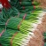 小葱