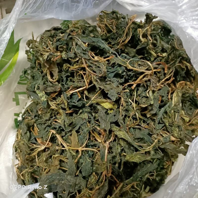 包邮野苦斋鲜货干货有货2斤起发，鲜货现釆现发，下单就采