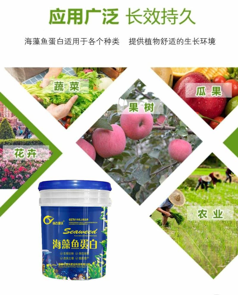 发酵腐熟纯羊粪/底肥肥料/瓜果蔬菜花卉大田作物都可以用