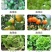 土壤调理剂，生物有机肥料，调节土壤酸碱平衡，改良土壤