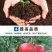 土壤调理剂，生物有机肥料，调节土壤酸碱平衡，改良土壤