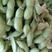 广西博白县优质毛豆，五百亩种植基地，大量出售，欢迎来收购