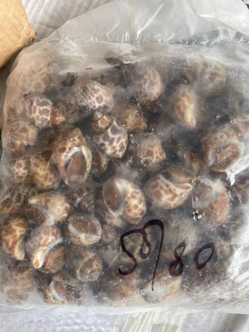 东风螺花螺烧烤店炒螺巴基斯坦。