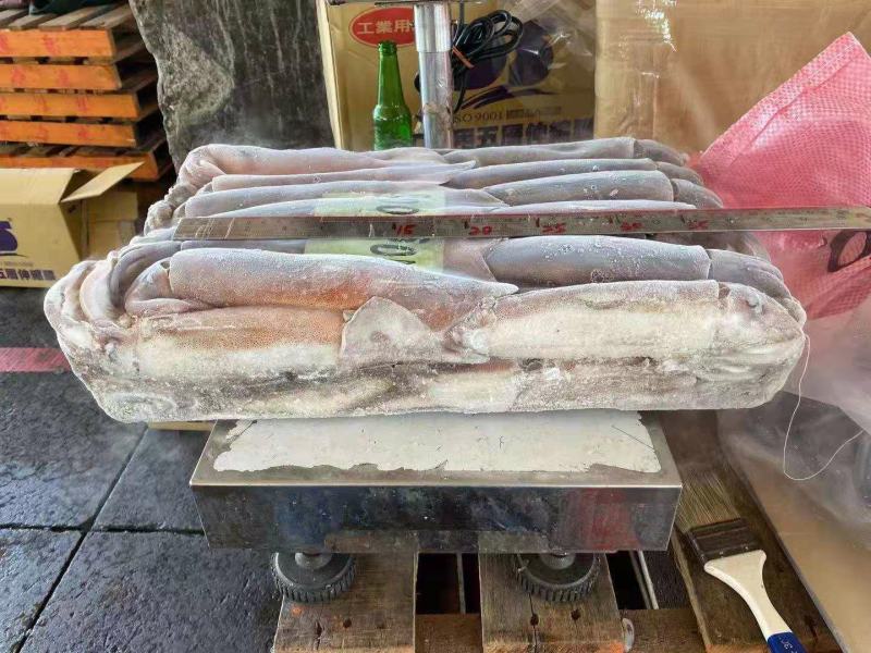 鱿鱼阿根廷鱿鱼…台湾版。薄板。过磅