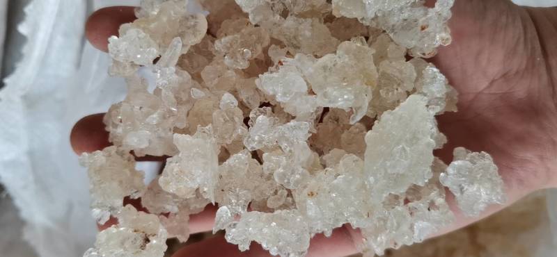 云南拉丝雪燕胶批发此货属B级雪燕欢迎选购厂家直销