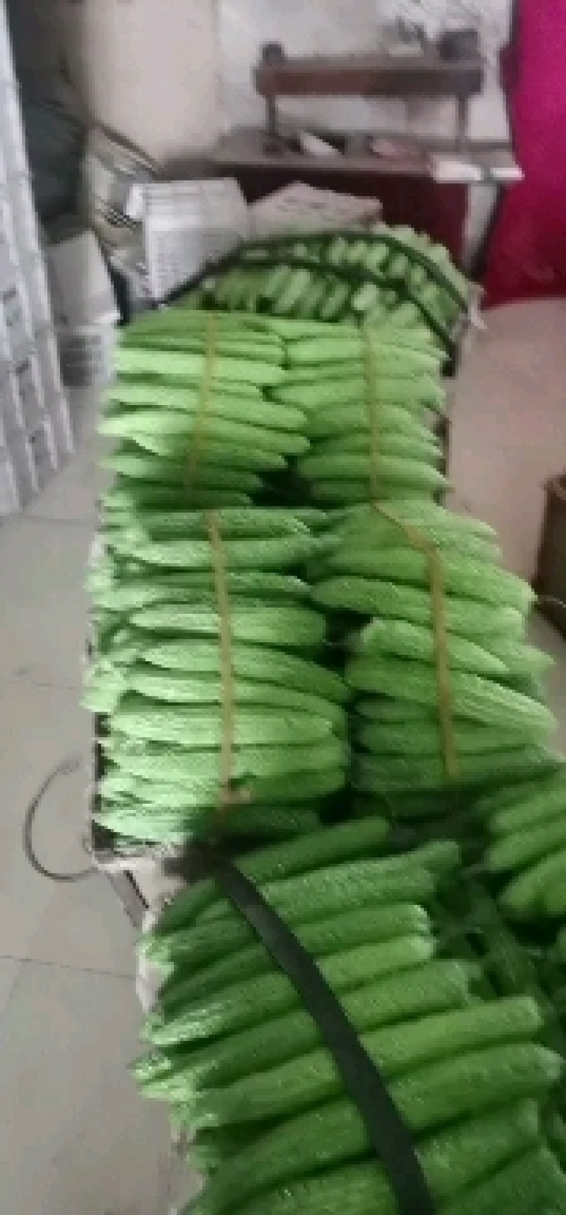 苦瓜大大量上市欢迎老板前来采购量大优先专业