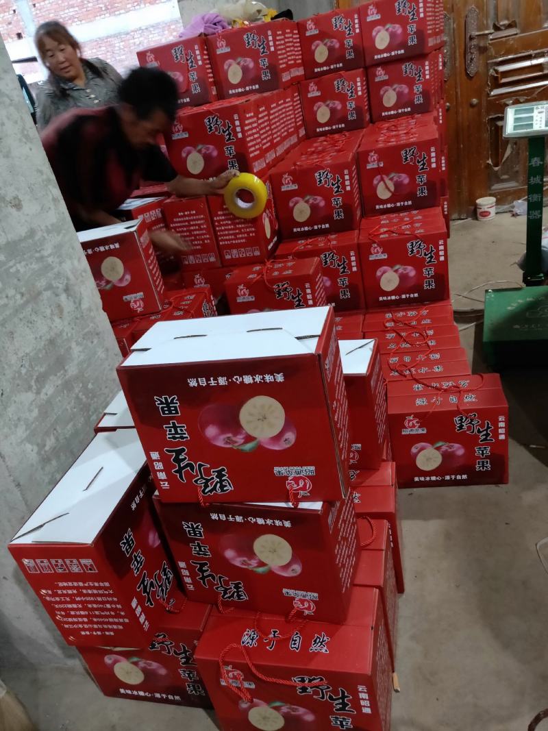 云南昭通苹果，早熟品种，神沙，滋多皮包，脆甜