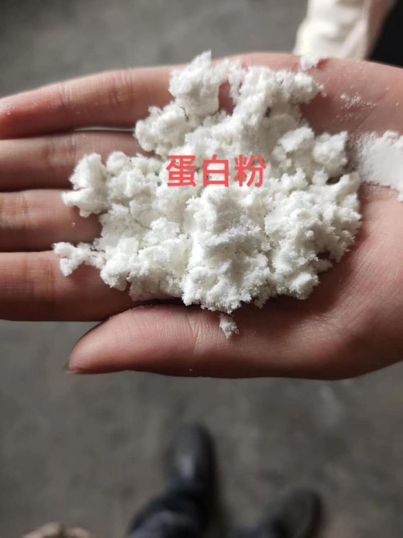 出售蛋白粉提蛋白。蛋白粉，