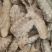 江苏连云港赣榆区皮皮虾肉虾姑肉虾婆肉可零售可批发欢迎老板咨询