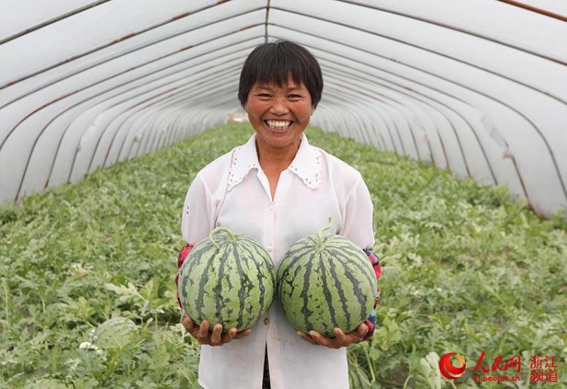 原藤头茬新鲜8424西瓜当季水果皮薄多汁滩涂地西瓜超甜