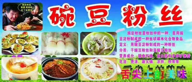 豌豆粉丝卖10元3把模式厂家直销送录音