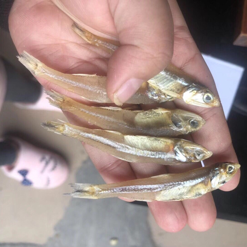深海天然小鱼干生嗮小鱼干白帆鱼公鱼海燕鱼干