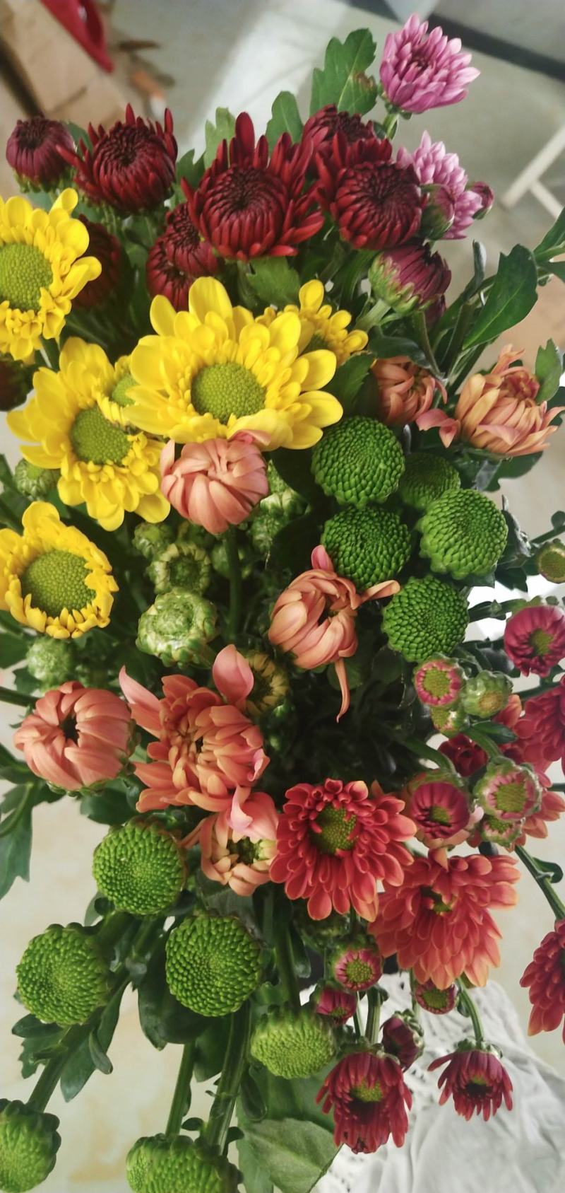 小雏菊，各色，配色，均可