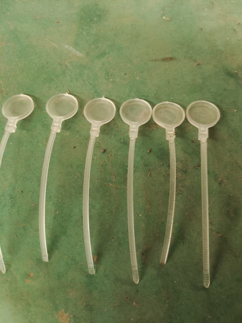 鸡眼镜鸡脚环水貂水盒