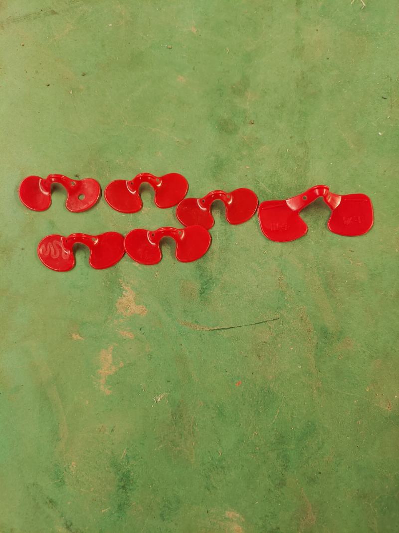鸡眼镜鸡脚环水貂水盒