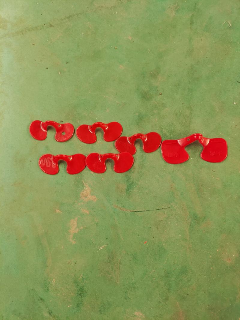 鸡眼镜鸡脚环水貂水盒