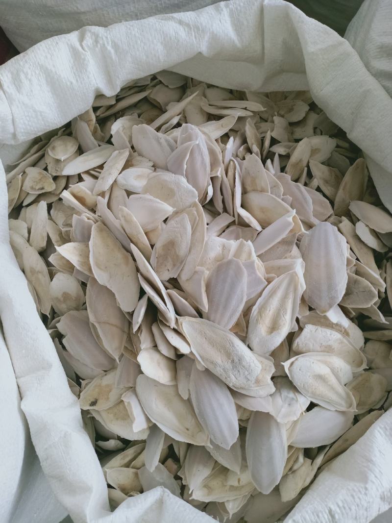 海螵蛸，各种规格海螵蛸质量保证经营各种中药材欢迎咨询合作