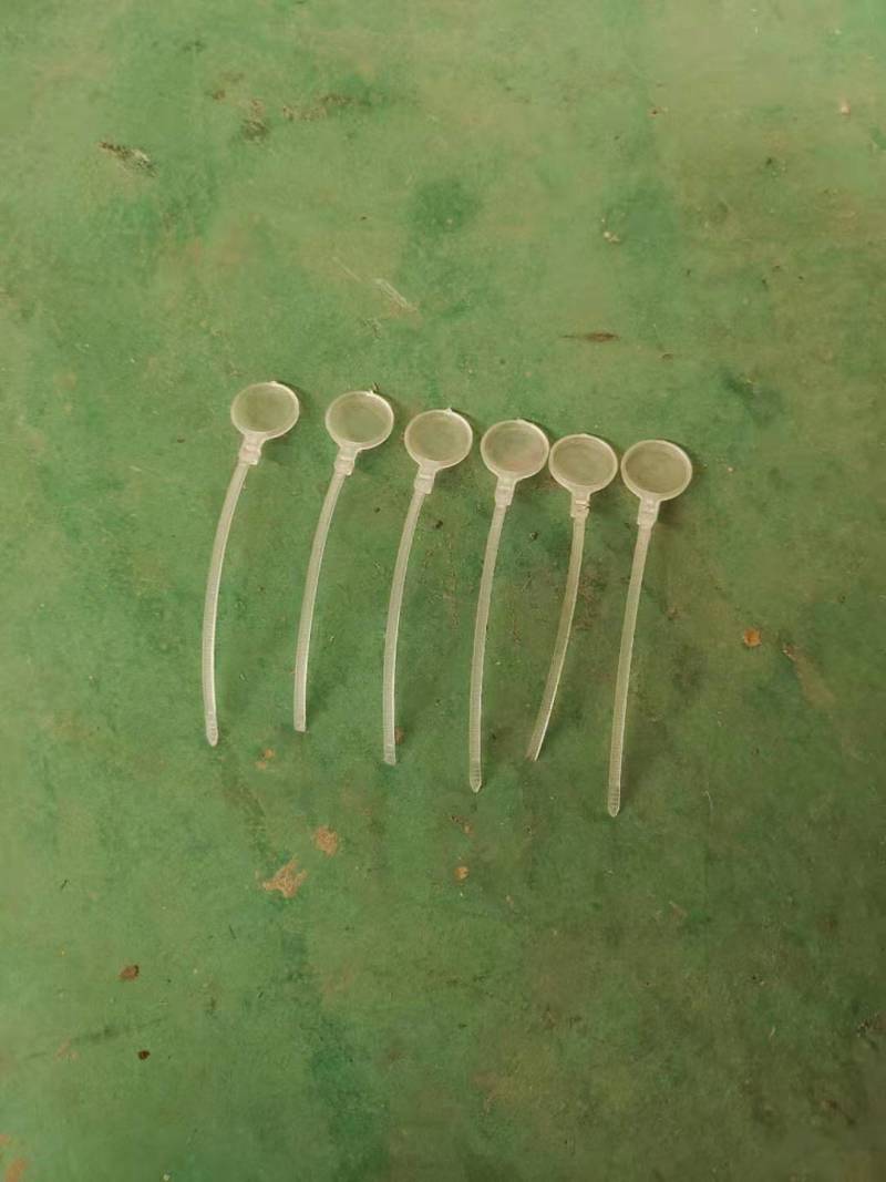 鸡眼镜鸡脚环水貂水盒厂厂家直销