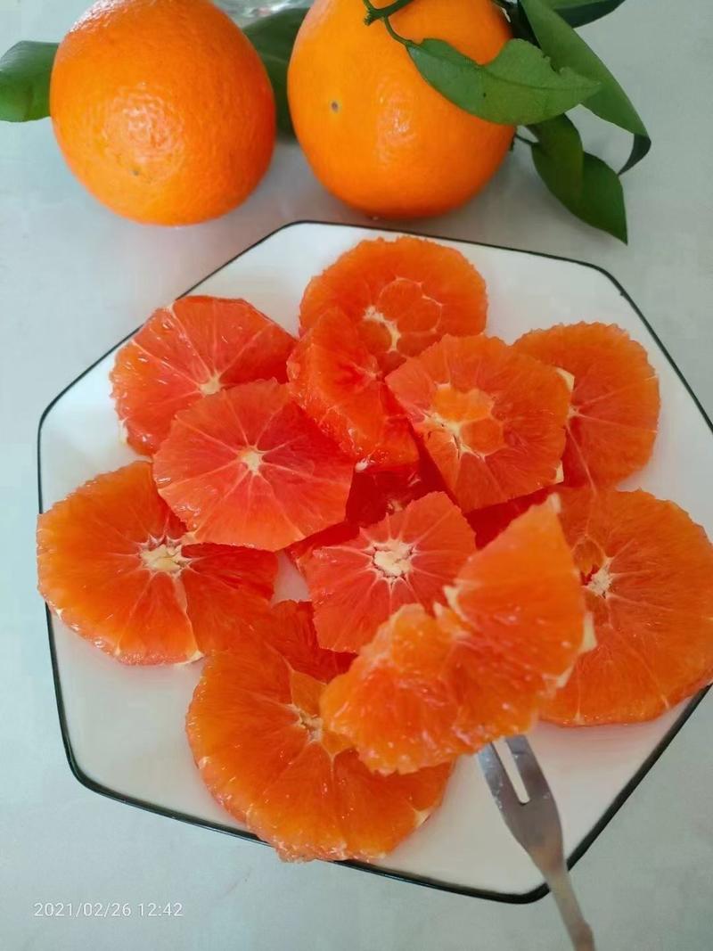 血橙/中华红橙/纯甜多汁挂树鲜果产地果园直发