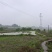 300亩可流转土地