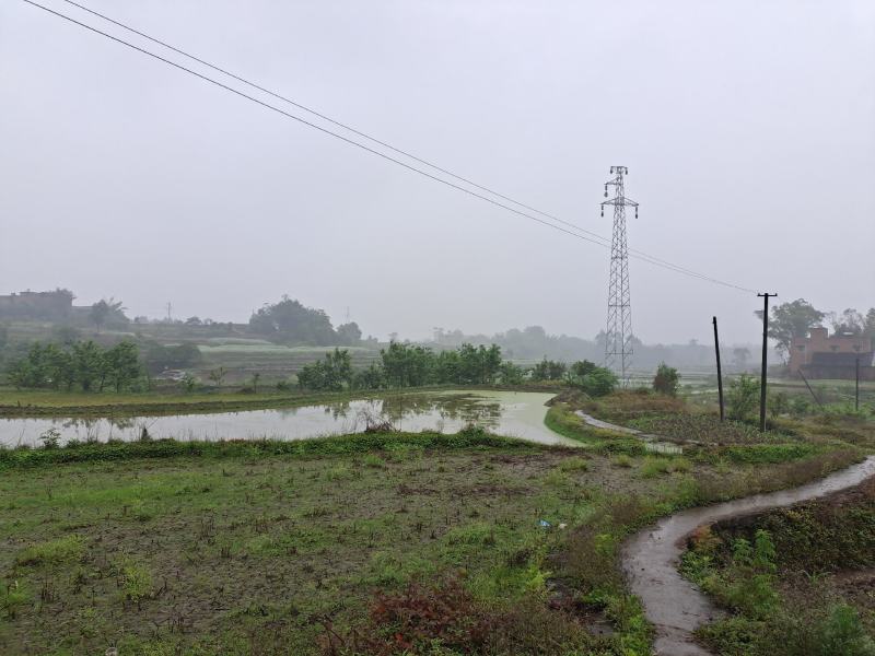 300亩可流转土地