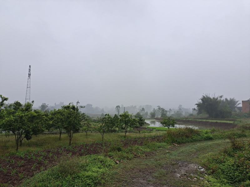 300亩可流转土地