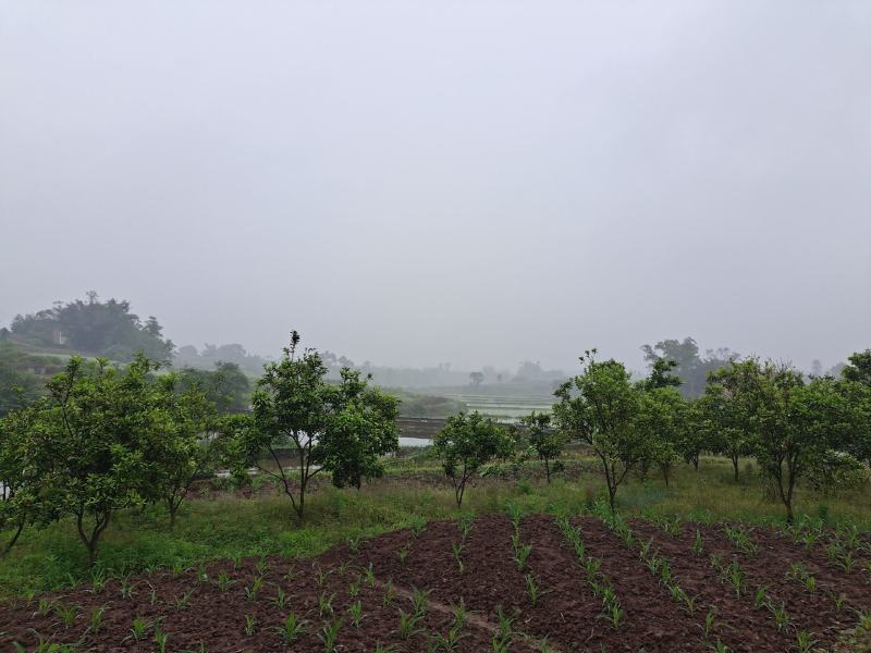 300亩可流转土地