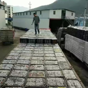 奉节脐橙（72-1）新鲜脐橙全年带叶鲜果，留树保鲜！