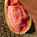 广西优质绿爽西瓜大量，需要的老板请与联系。