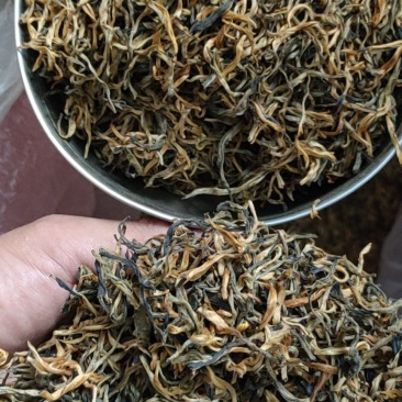 广东清远英德高山生态环保英德英红九号红茶