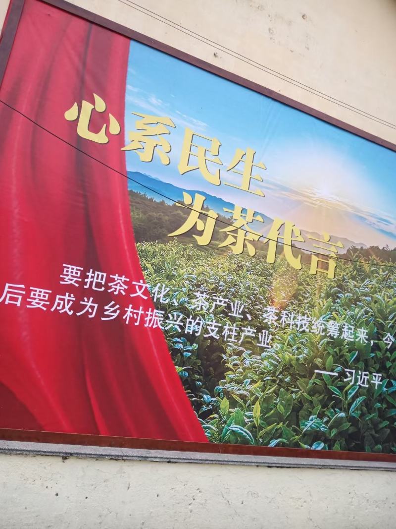广东清远英德高山生态环保英德英红九号红茶