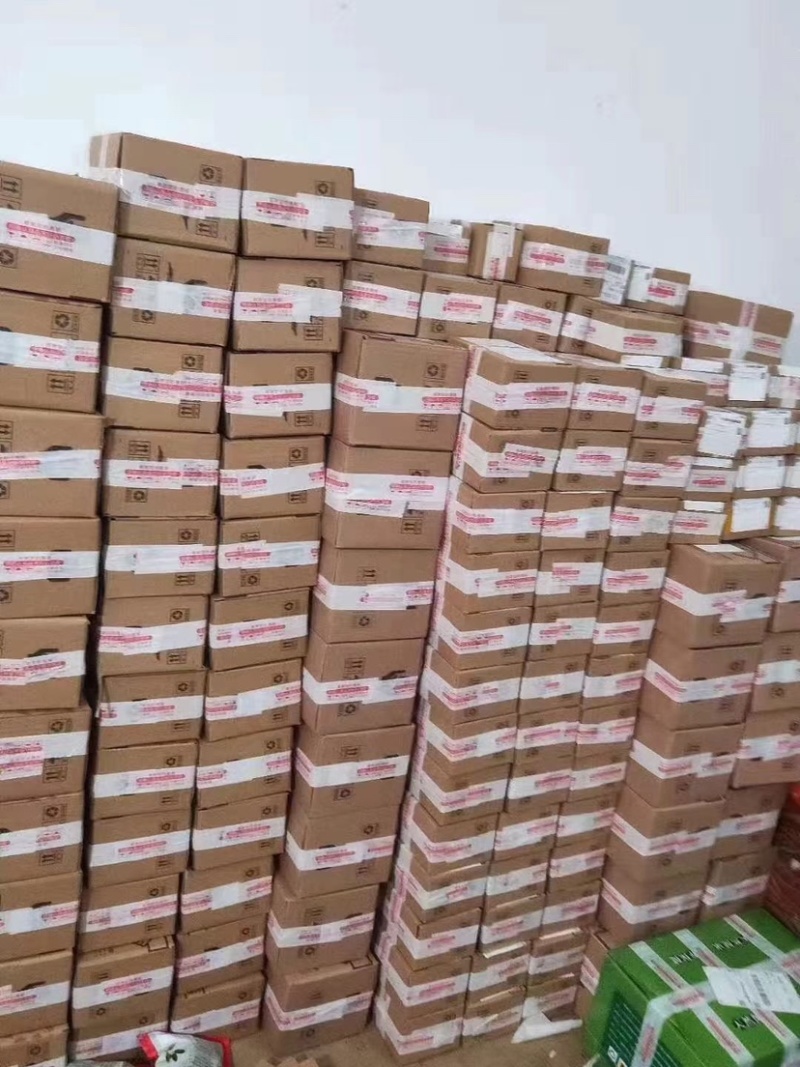 中药材香砂砂仁货品正宗煲汤食材散装干货